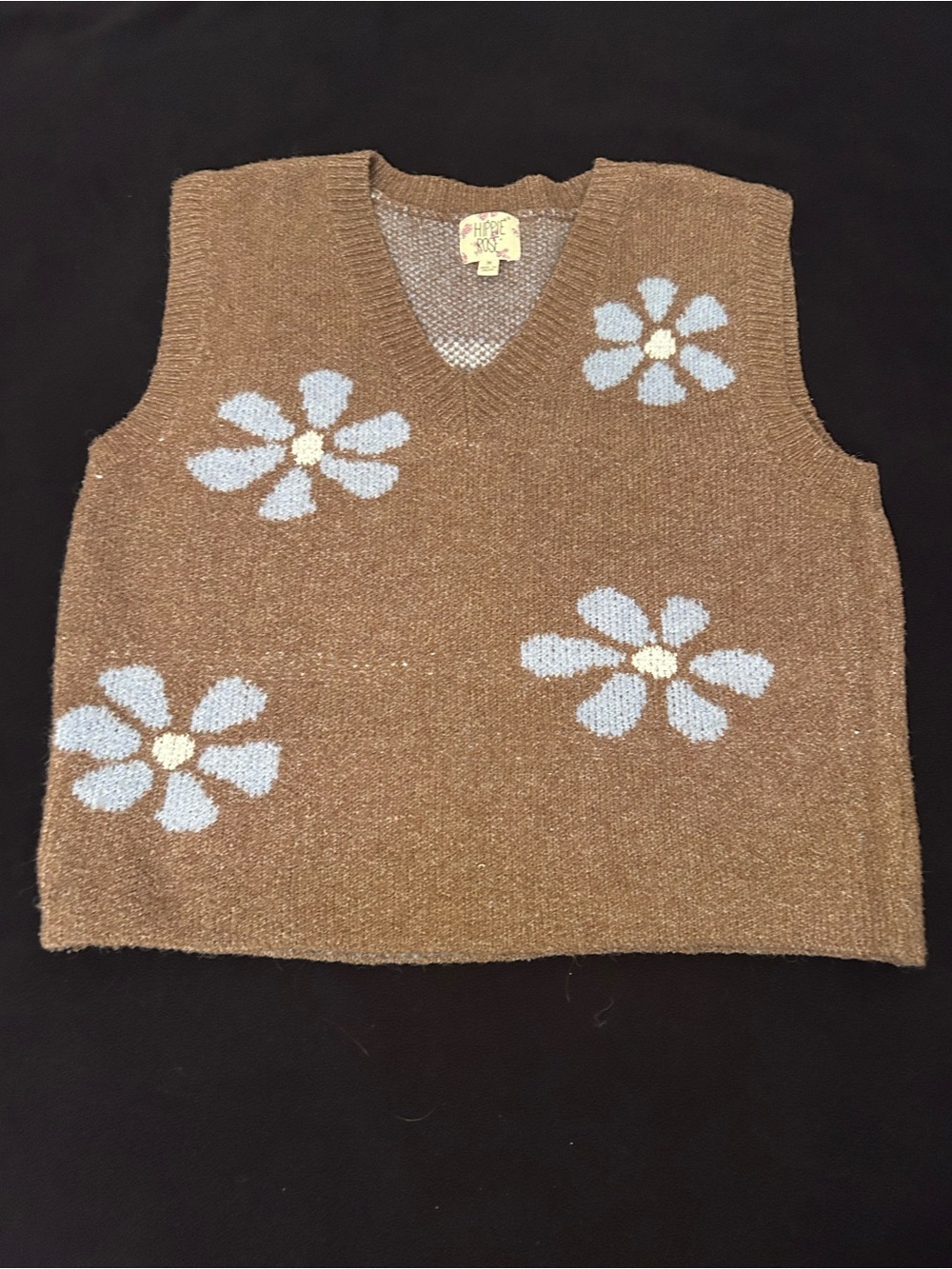 Hippie Rose Brown V-Neck Floral Knit Sweater Vest with Light Blue Flowers